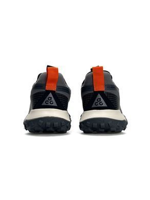 Nike ACG Mountain Fly Low GTX Grey Black Beige