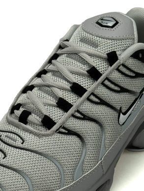 Nike Air Max Plus Tn Pale Grey