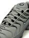 Nike Air Max Plus Tn Pale Grey