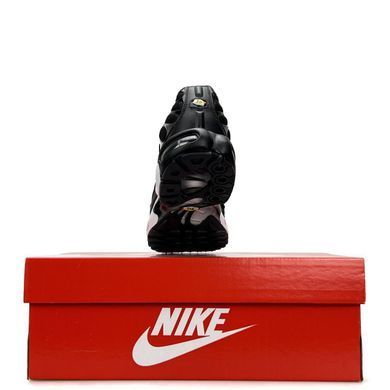 Nike Air Max Plus Black White