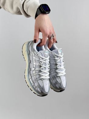 Nike P-6000 Silver Beige