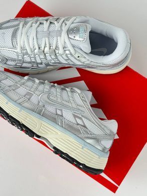 Nike P-6000 Silver Beige