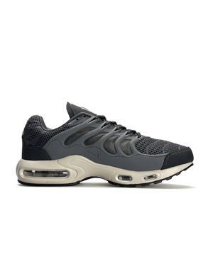 Nike Air Max Terrascape Plus Grey Beige