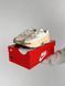 Nike Zoom Vomero Roam Beige