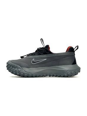 Nike ACG Mountain Fly Low GTX Grey