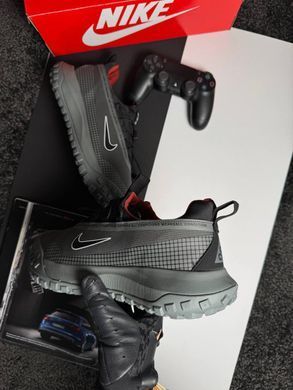 Nike ACG Mountain Fly Low GTX Grey