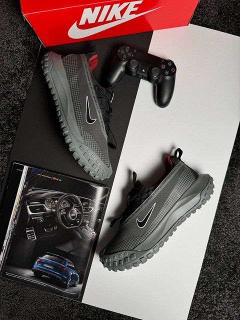 Nike ACG Mountain Fly Low GTX Grey