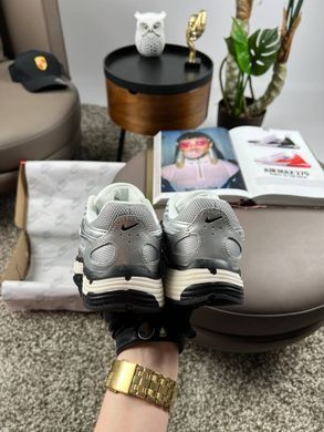 Nike P-6000 W Silver Beige