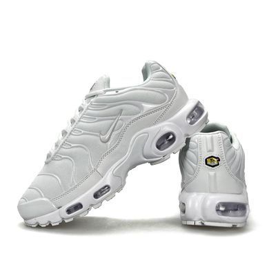 Nike Air Max Plus White
