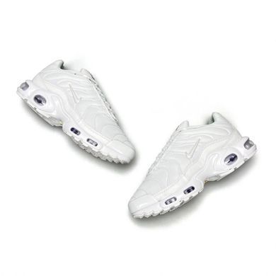 Nike Air Max Plus White