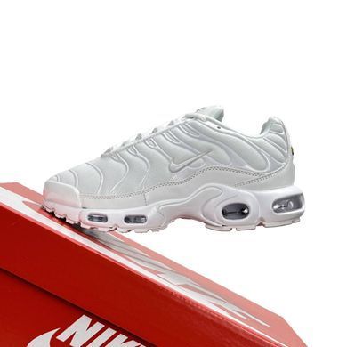 Nike Air Max Plus White
