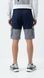 Шорти чоловічі Wions Cargo Navy Gray