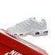 Nike Air Max Plus White