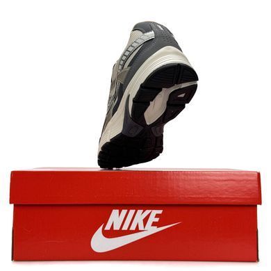Nike Initiator M GTX Beige Grey