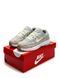 Nike P-6000 W Light Grey Beige