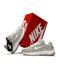 Nike P-6000 W Light Grey Beige
