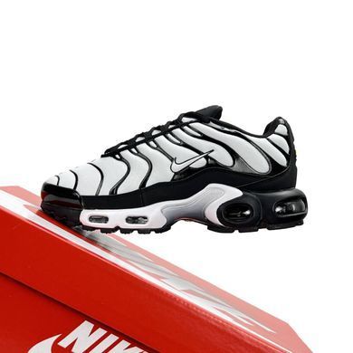 Nike Air Max Plus White Black