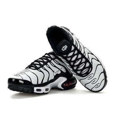 Nike Air Max Plus White Black