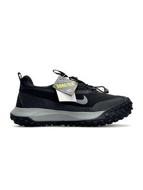 Nike ACG Mountain Fly Low GTX Black Grey